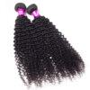 tinashe hair kinky curly bundles