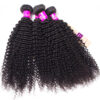 tinashe hair kinky curly bundles