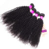 tinashe hair kinky curly bundles