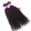 tinashe hair kinky curly bundles