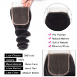 Tinashe hair loose wave closure