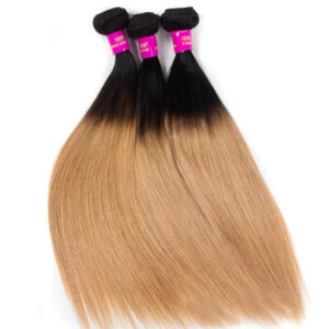 Tinashe hair straight hair bundles ombre hair 1b 27
