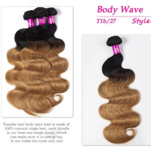 Tinashe hair 1b 27 ombre gloden blonde hair body wave bundles