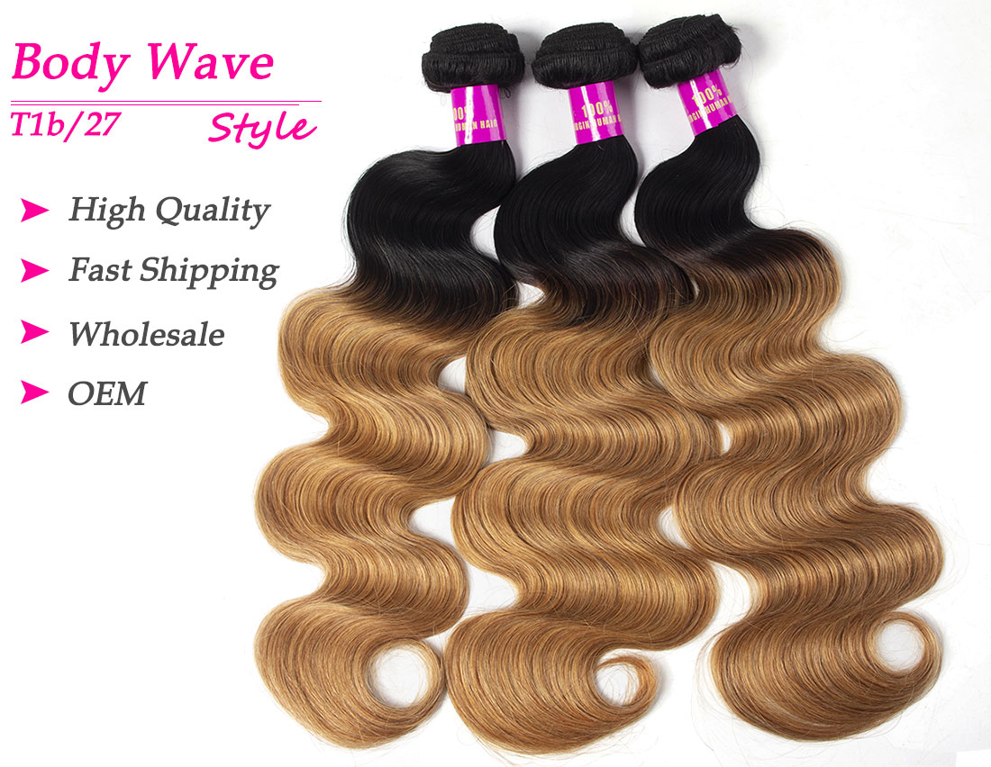 Tinashe hair 1b 27 ombre gloden blonde hair body wave bundles