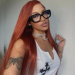 Reddish brown straight lace wig
