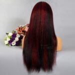 Tinashe hair highlight 1b-burgundy straight wig