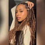 Tinashe hair highlight bulk hair