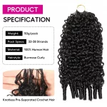 Tinashe hair crochet hair (11)