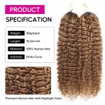 Tinashe hair highlight curly crochet hair