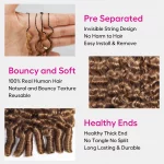 Tinashe hair highlight crochet hair (2)