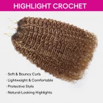 Tinashe hair highlight kinky curly crochet (1)