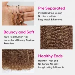 Tinashe hair highlight kinky curly crochet (5)