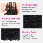 Tinashe hair Indian curly corchet hair (3)