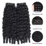 Tinashe hair burmese curly bundles 2