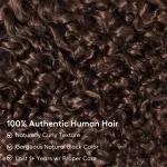 Tinashe hair dark brown burmese curly wig (9)